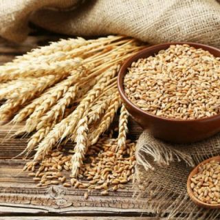 Wheat