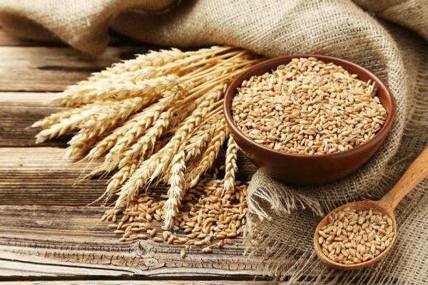 Wheat