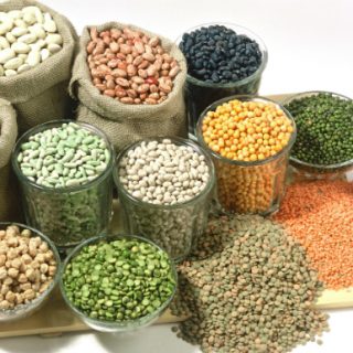 Agroseeds