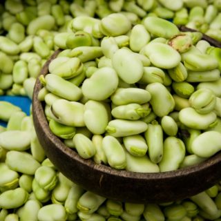Broad Bean