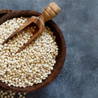 Sorghum