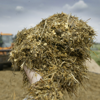 Silage
