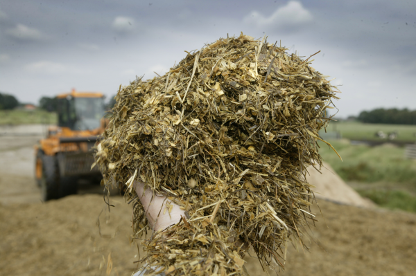 Silage