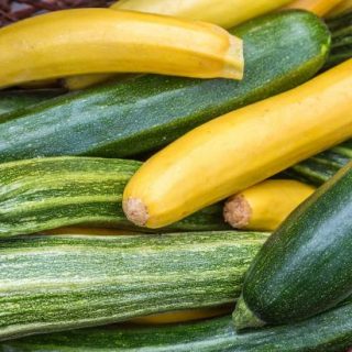 zucchini