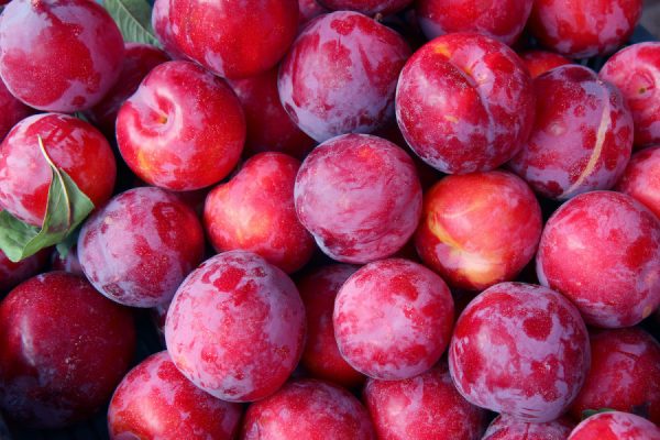 Plums