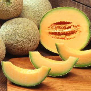 rockmelons