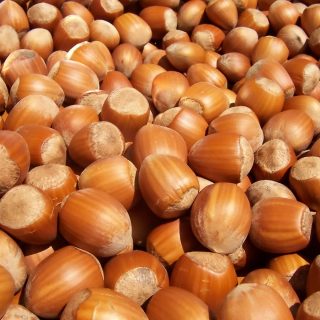Filberts (Hazel Nuts)