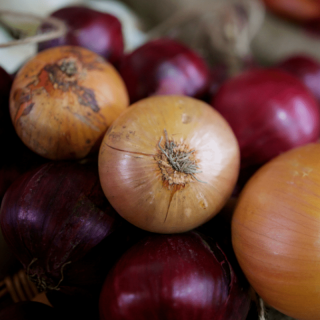 onion
