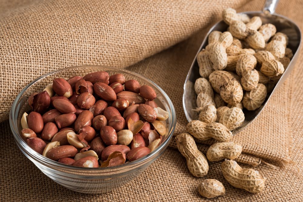 Peanut / Groundnut