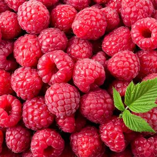 Raspberries