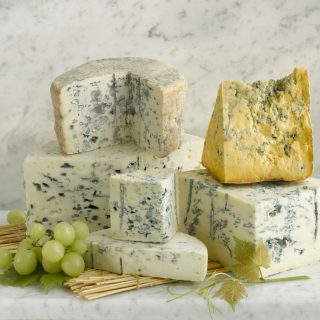 Blue Mould Cheese