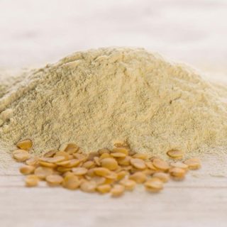 lentil flour