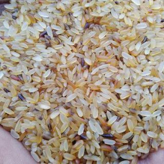 Rice Animal Food
