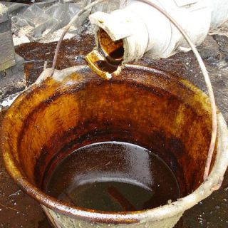 Molasses