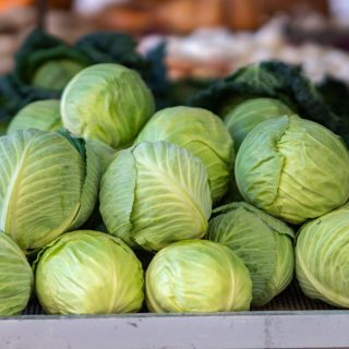 Cabbage