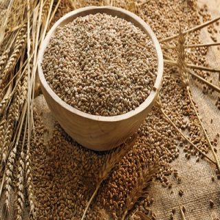 Wheat Animal Food