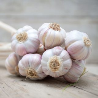 garlic