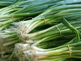 shallot