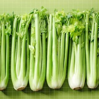 Celery