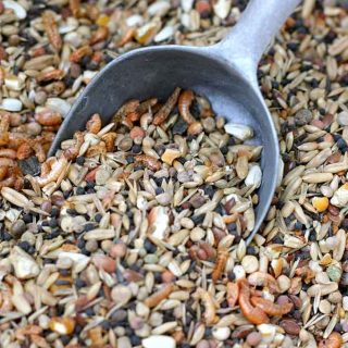 Mixed poultry grain