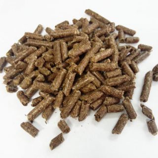Moringa Pellets