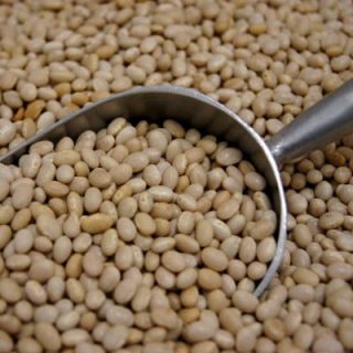 Haricot beans