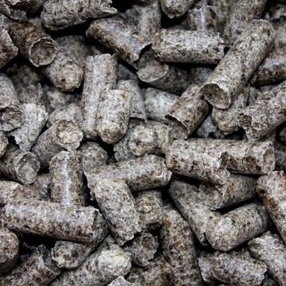 sugar beets