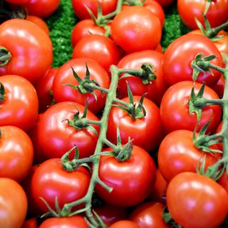Tomatoes