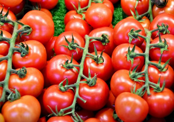 Tomatoes