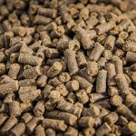 Meat Bone Meal