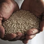 Ammonium Nitrate Fertilizer Grade