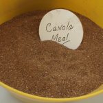 Canola Meal