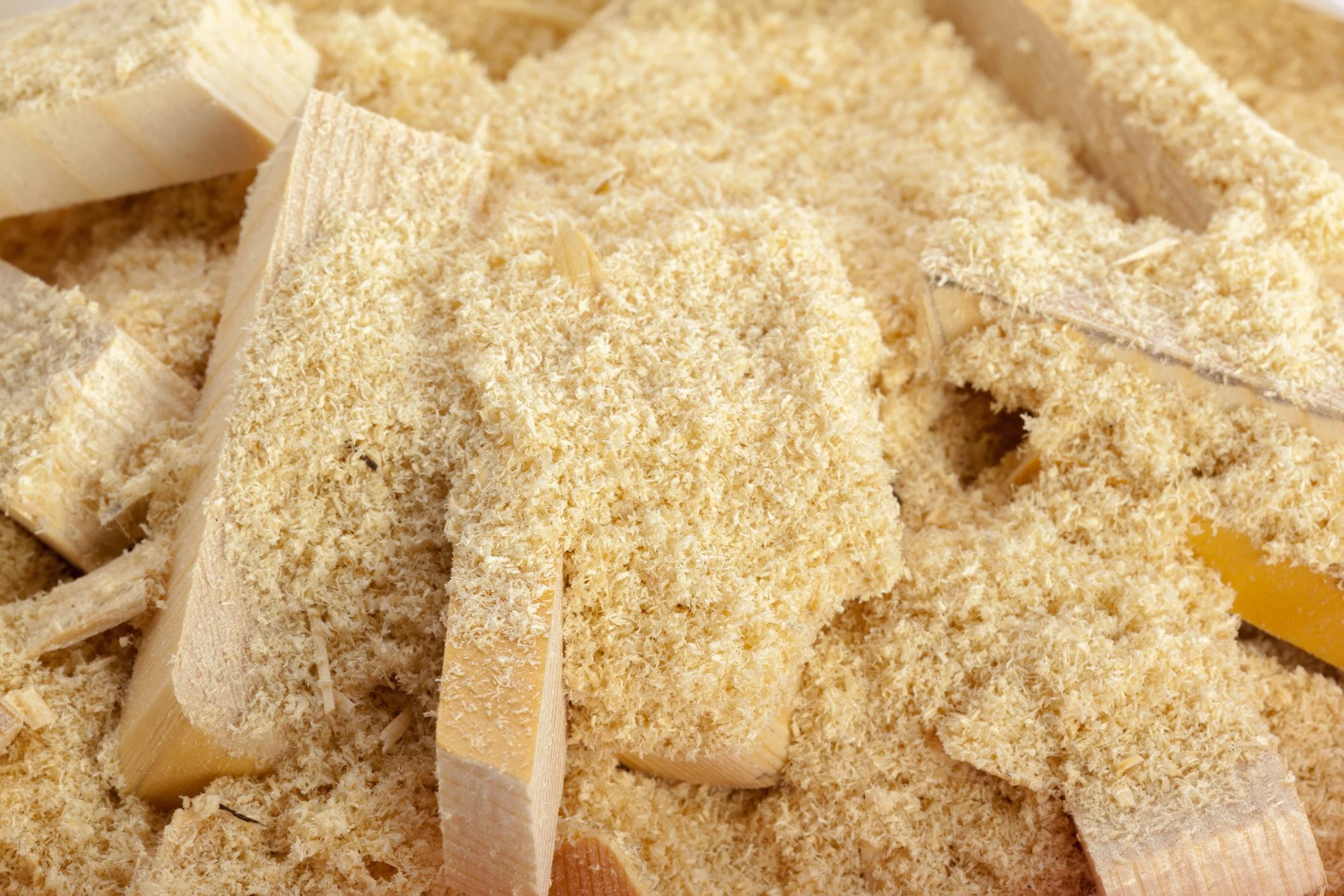 GettyImages-1059154254 Sawdust