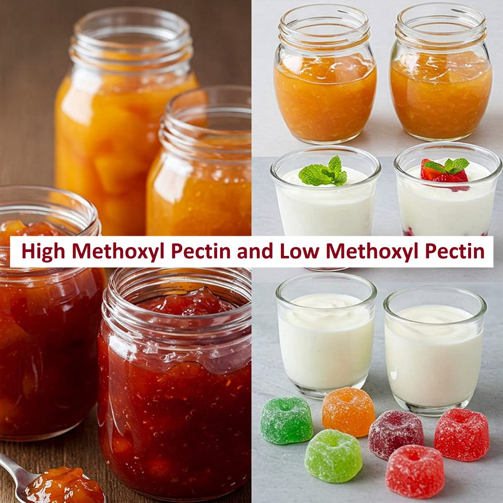 High-Methoxyl-Pectin-and-Low-Methoxyl-Pectin-1024x1024 Pectin Food Grade - Image 1