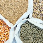 Organic Acid Feed Blend