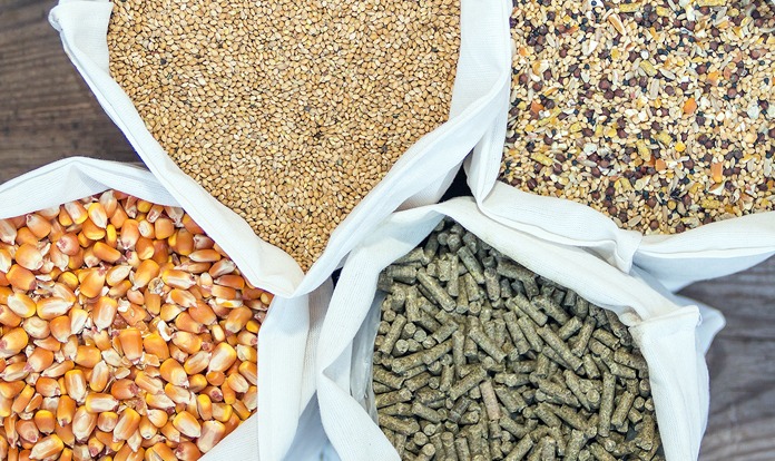 How-organic-acids-support-feed-safety-and-shelf-life Organic Acid Feed Blend - Image 1