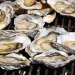 Shellfish Meat