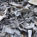 Lead Scrap