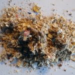 Prima Seal
