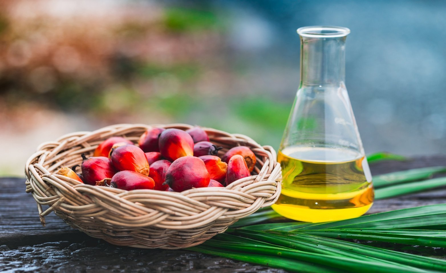 REFINED-BLEACHED-DEODORIZED-RBD-PALM-KERNEL-OIL Palm Kernel Oil - Image 1