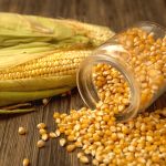 Yellow Corn