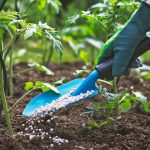 Biofertilizers