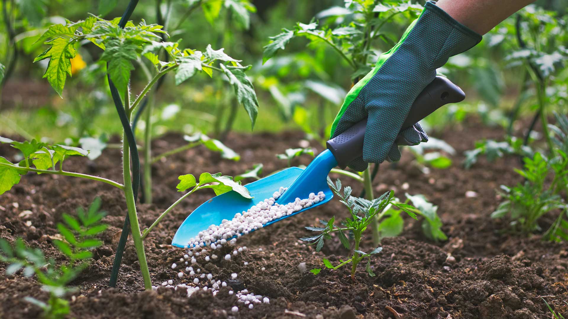 TMK-Composter Biofertilizers - Image 1