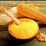 Corn Gluten Meal