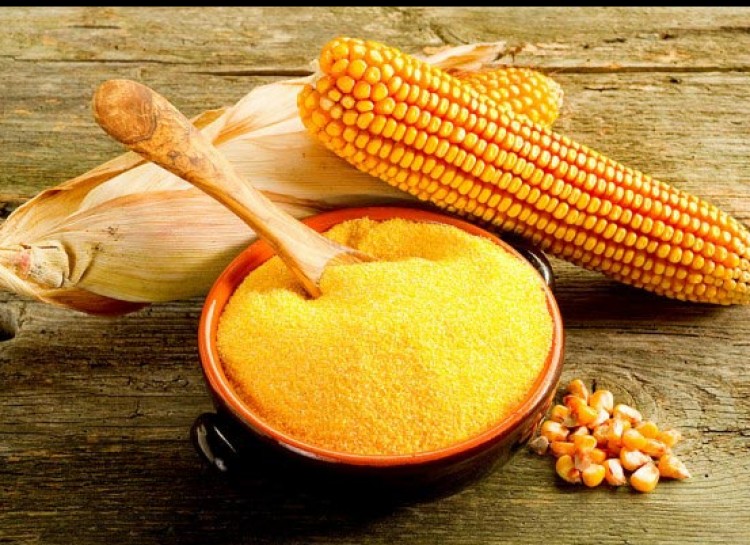 b0f4524b1c6aa5141778ff4b348afe0efd85e7d2 Corn Gluten Meal - Image 1