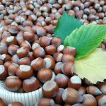 Hazelnuts