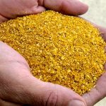 Dried Distillers Grains with Solubles (DDGS)