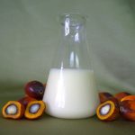 Palm Oil Stearin