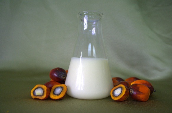 estearina-de-palma Palm Oil Stearin - Image 1