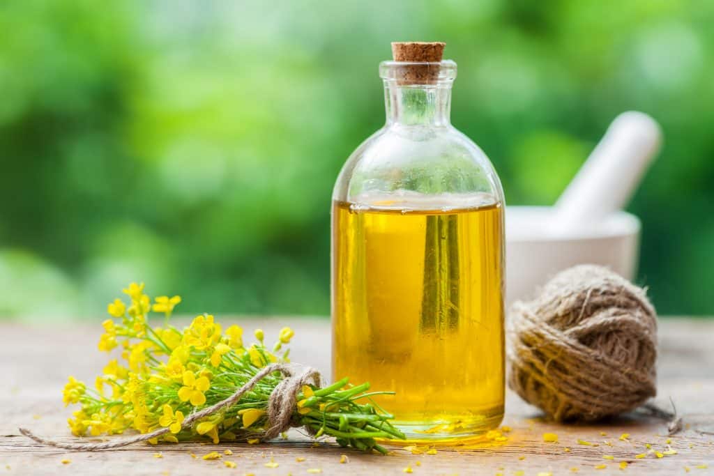 iStock-594029004-1024x683 Canola Oil - Image 1